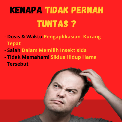 Jual RUDSTAR 500 ML Herbisida Racun Pra Tumbuh Pembeku Biji Gulma ...