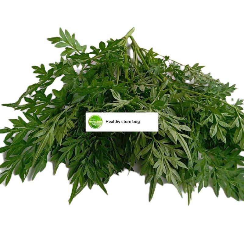 Jual Daun kenikir atau raramidang segar 250 gram | Shopee Indonesia