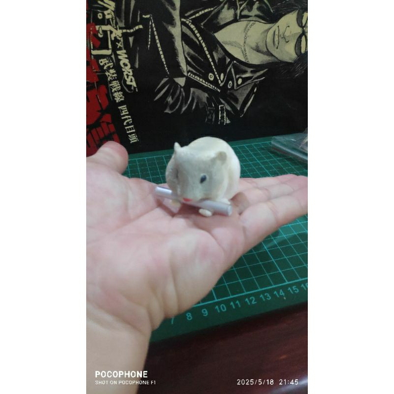 Jual miniature hamster with a scroll | Shopee Indonesia