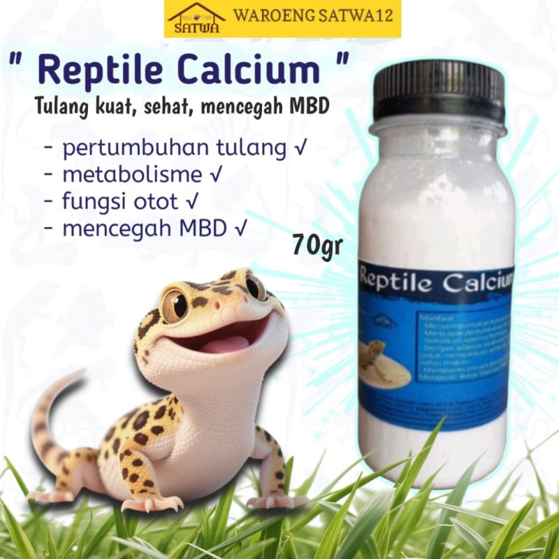 Stunning Reptile Safe Calcium For Snacks image
