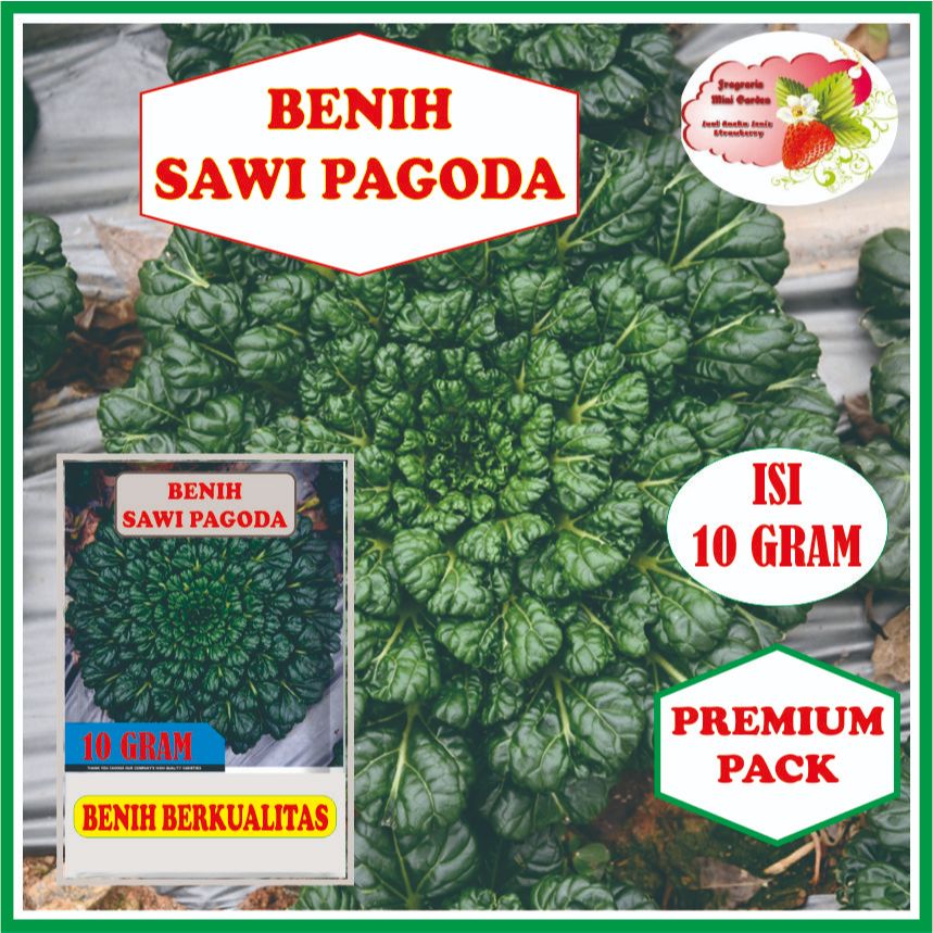 BENIH SAWI PAGODA ISI 10 GRAM