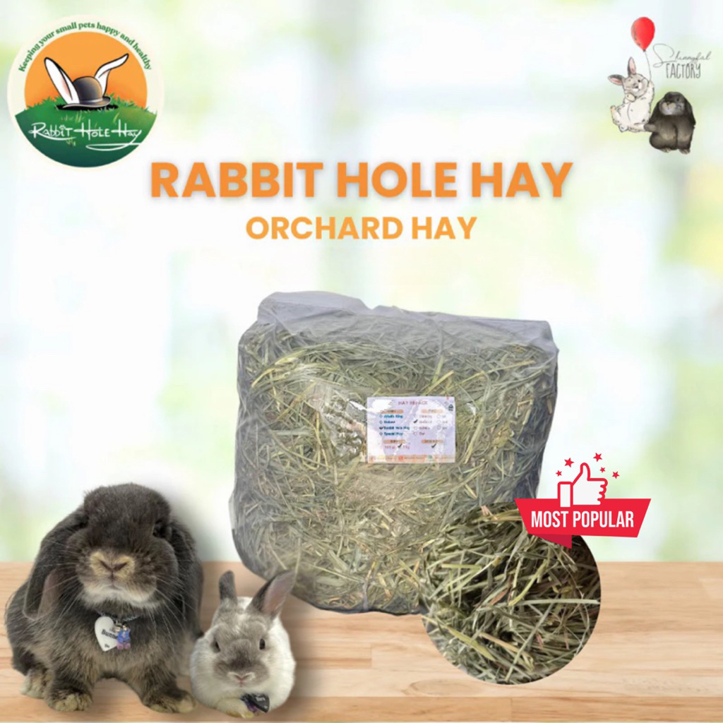Jual Rabbit Hole Hay - Soft Orchard Hay Less Dust Rumput Hay Kelinci ...