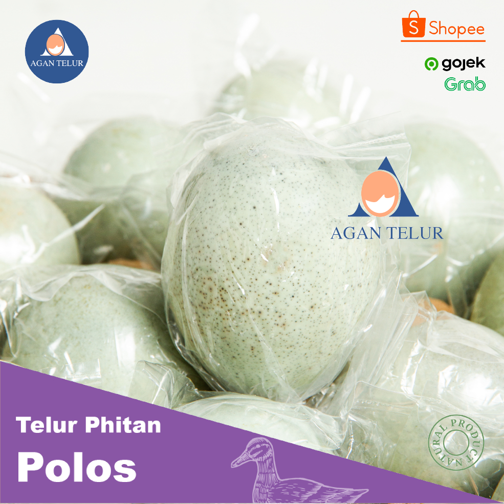 Jual Telur Pitan Terlengkap & Harga Terbaru Agustus 2026 | Shopee Indonesia