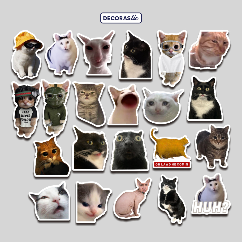 Jual Sticker Pack Meme Kucing Stiker Lucu Kitten Aesthetic Buku ...