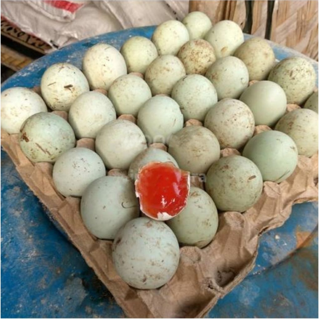 Jual Telur Bebek / Telur Itik Asli Banjar Per 1 Rak (Isi 30 Biji ...