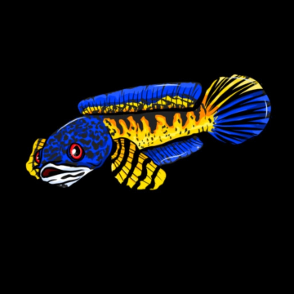 Jual STIKER CHANA AURANTI | Shopee Indonesia