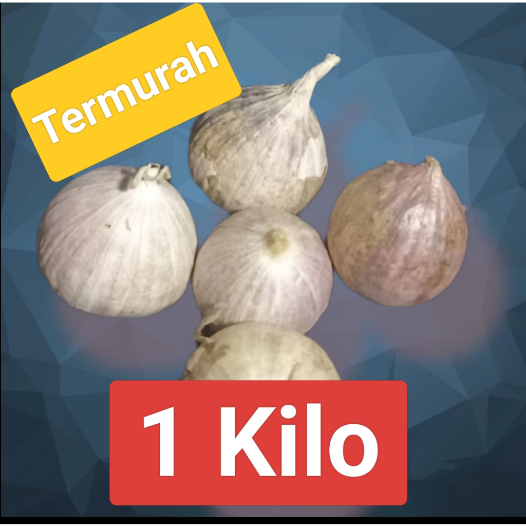 Jual Kimios - Bawang Putih Tunggal / Lanang 1Kg | Shopee Indonesia