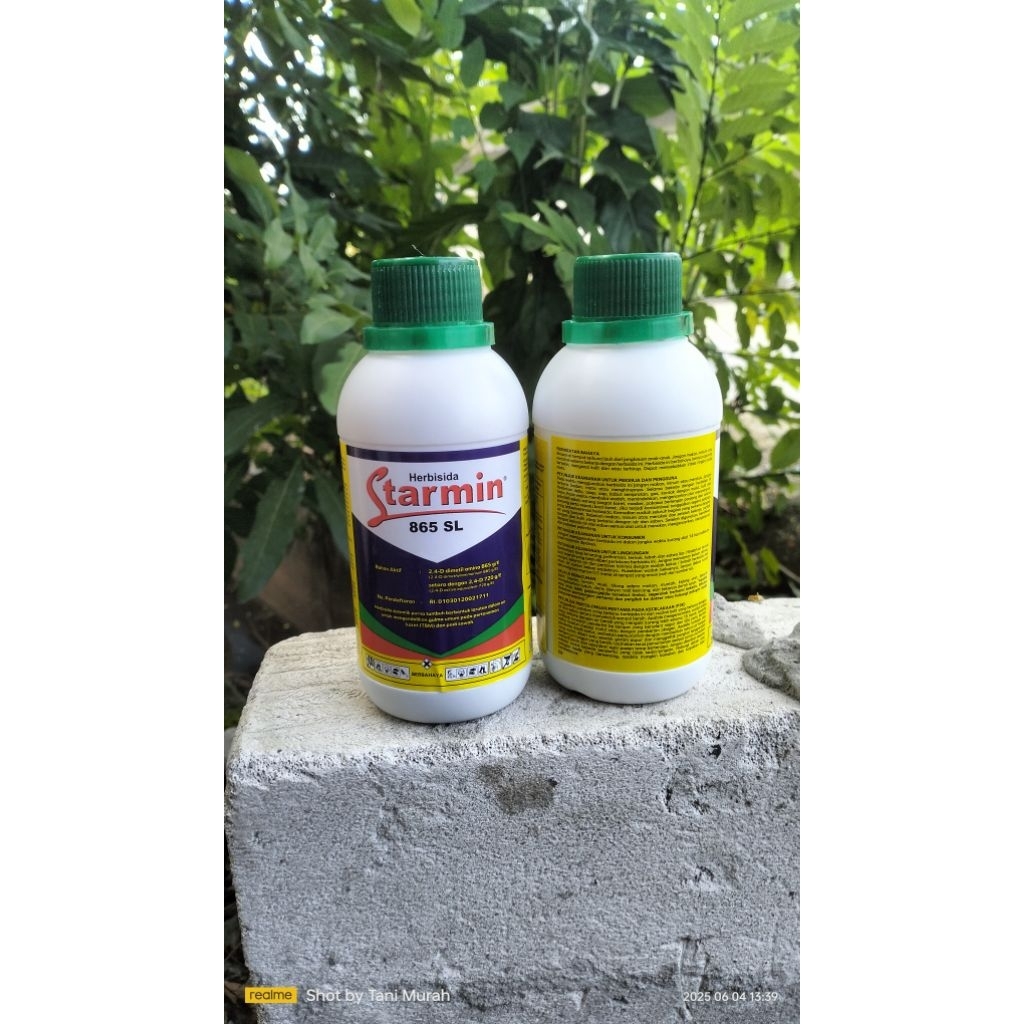Jual Starmin 855 Sl 2,4 D Dimetil Amina 200 Ml Pembasmi Gulma Rumput ...