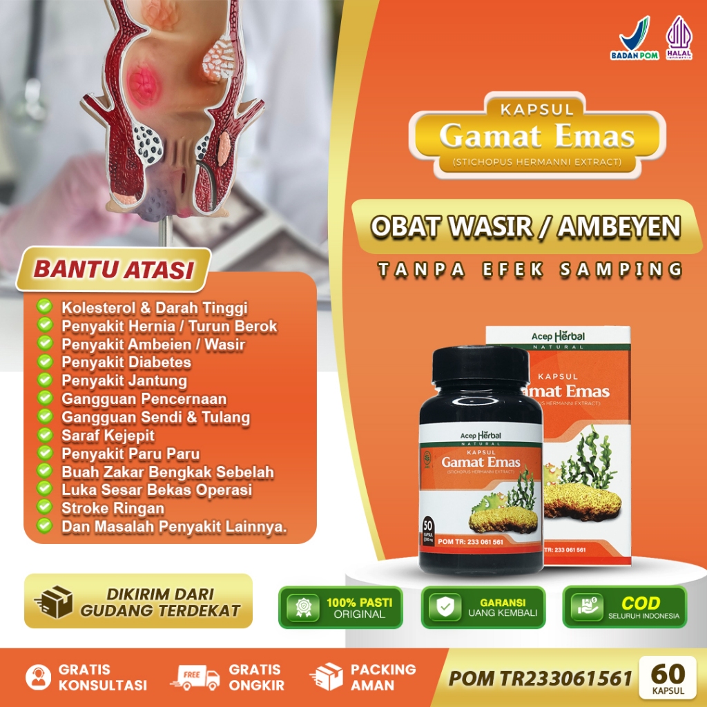 KAPSUL GAMAT EMAS - Obat Wasir Dan Ambeien Obat Ambeyen Stadium 1 2 3 4 Ekstrak Teripang Emas Asli