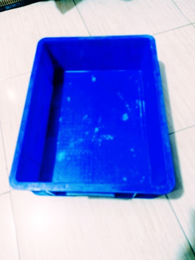 Jual box kontainer box cincau rabbit no 6044 size 45x35x14.cm | Shopee ...