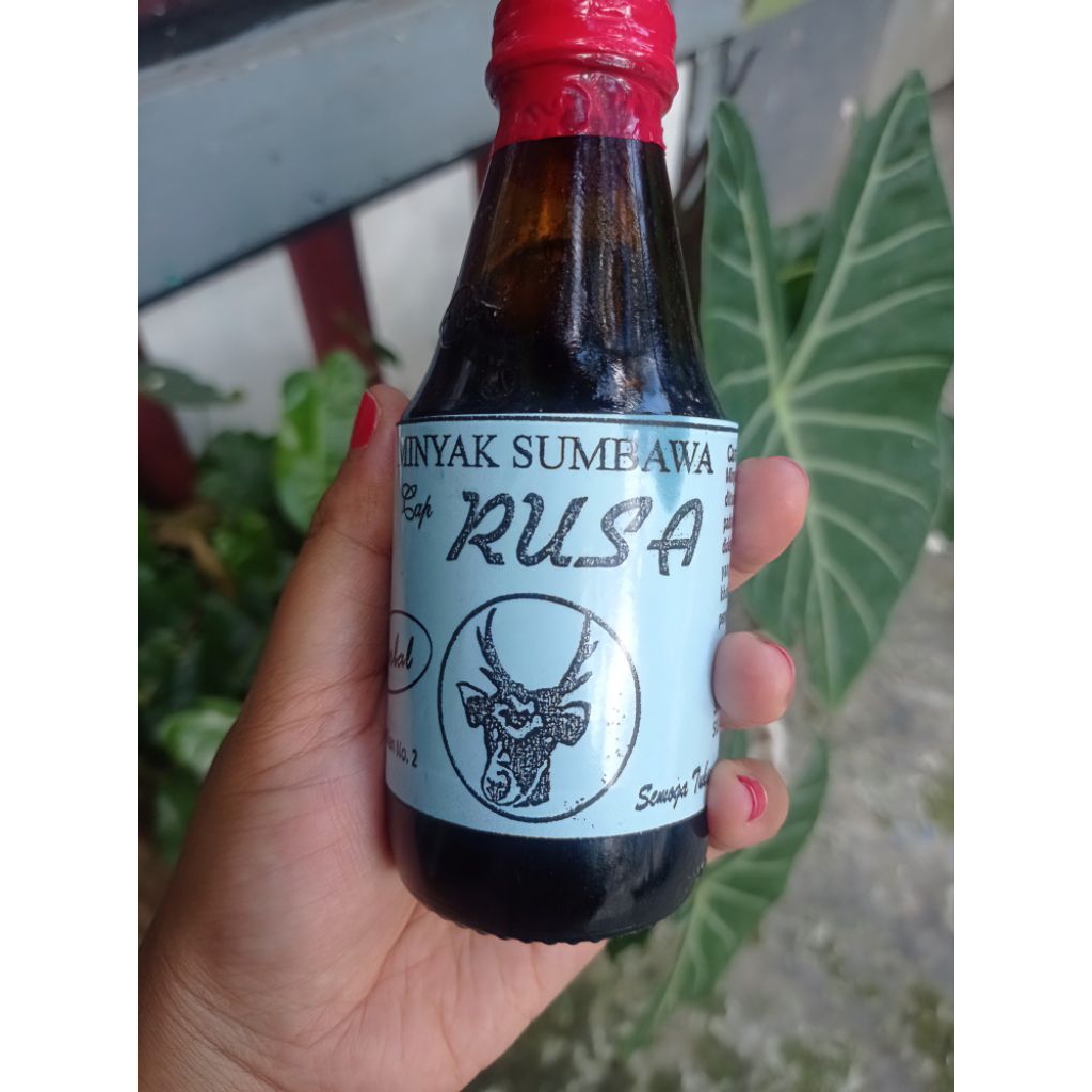 Jual Minyak Sumbawa Cap Rusa Asli – Herbal Tradisional Redakan Pegal ...