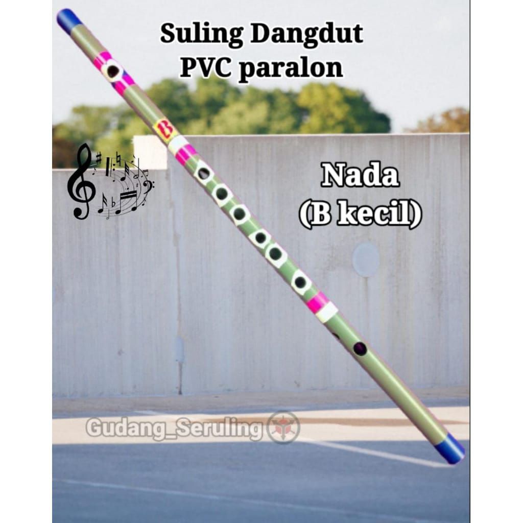 Jual Seruling pipa paralon nada B kecil, Suling dangdut | Shopee Indonesia