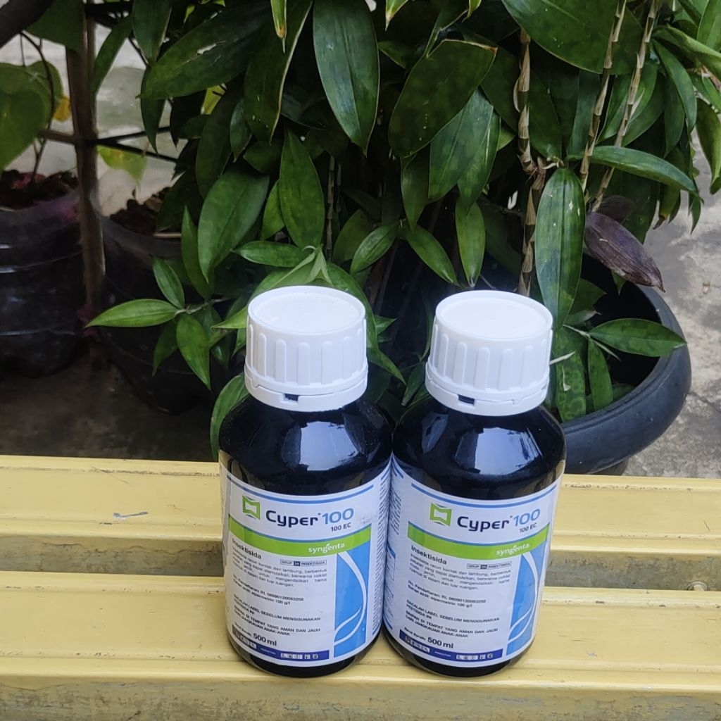 Jual CYPER 100 EC Insectisida Semua Jenis Nyamuk | Shopee Indonesia
