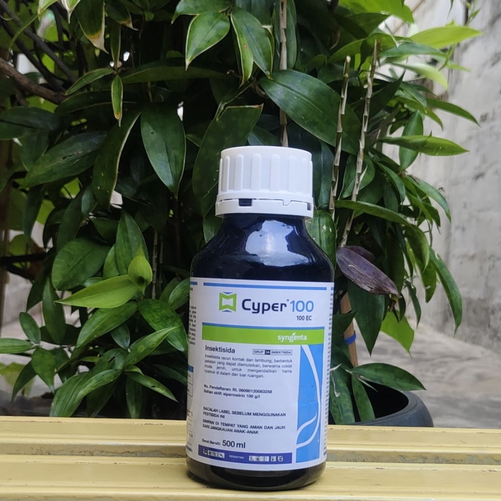 Jual CYPER 100 EC Insectisida Semua Jenis Nyamuk | Shopee Indonesia