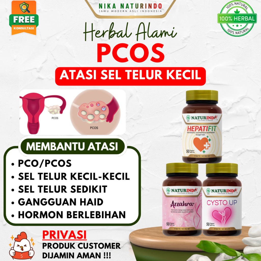 Jual Obat Herbal PCOS Polycystic Ovarian Syndrome Sindrom Polikistik ...