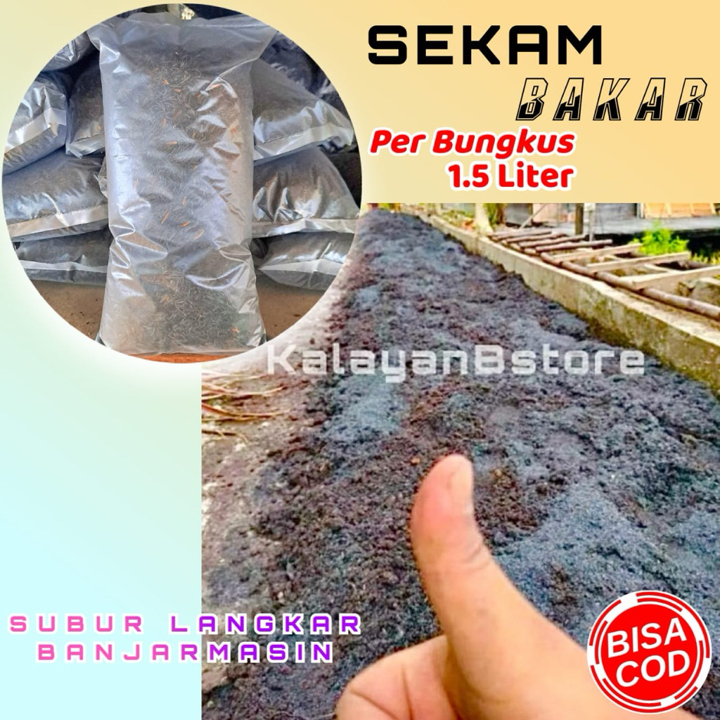 MEDIA TANAM SEKAM HITAM PER BUNGKUS