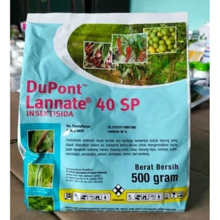 Havaskor lezbiyenlarning lanet surati