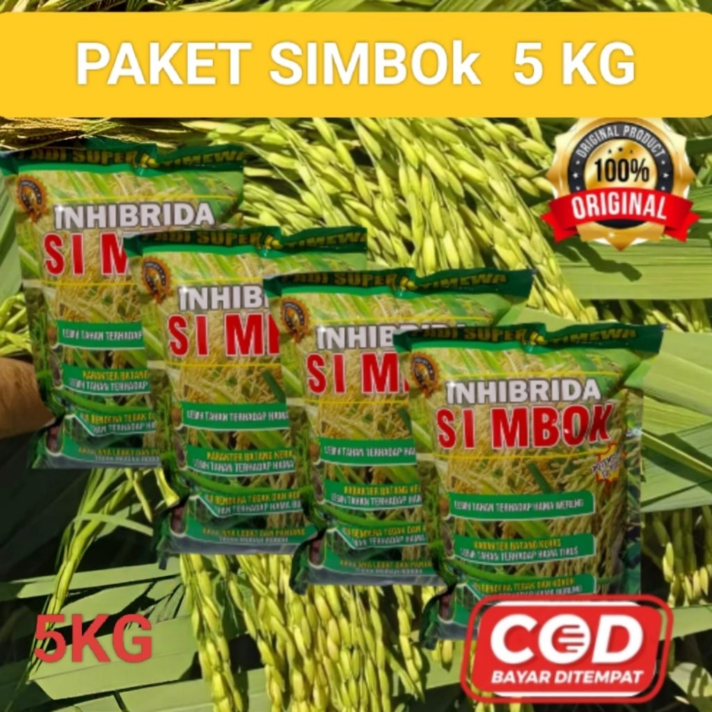 Jual BENIH PADI SIMBOK BERKUALITAS SUPER UNGGUL KEMASAN 5KG | Shopee ...