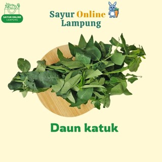 Daun katuk / katu