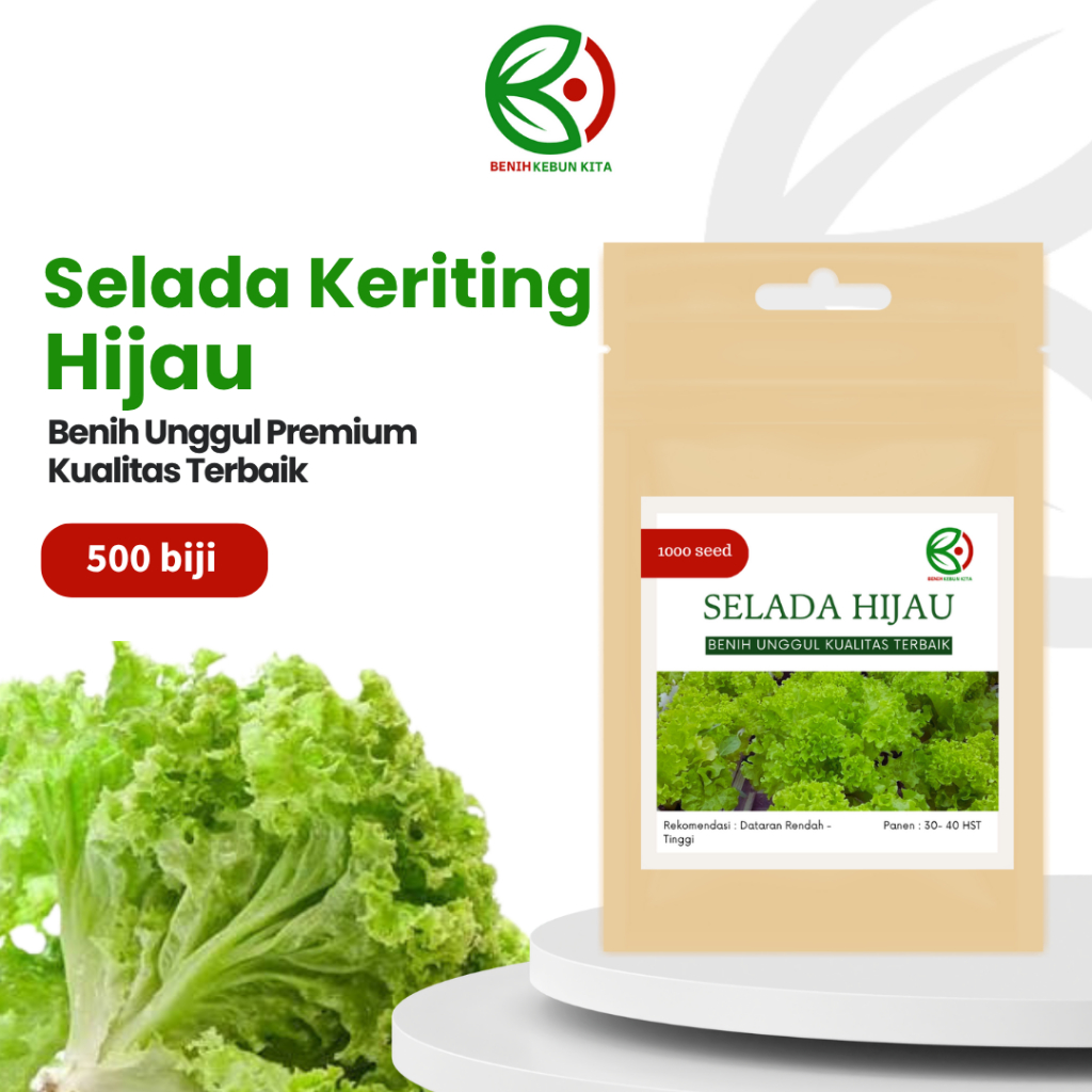 Biji Benih Bibit Sayuran Selada Keriting Hijau Ungul Berkualitas