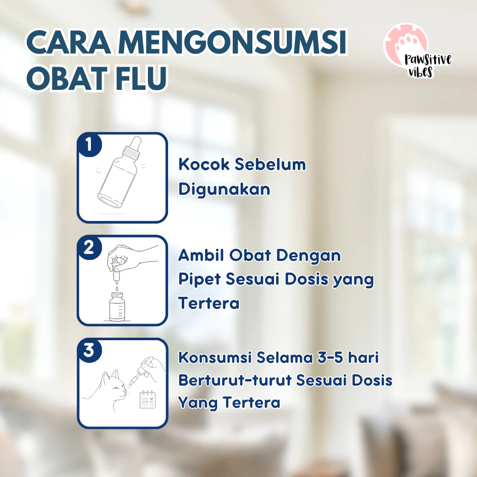 Pawsitive Vibes x Pawcare - Obat Flu Kucing