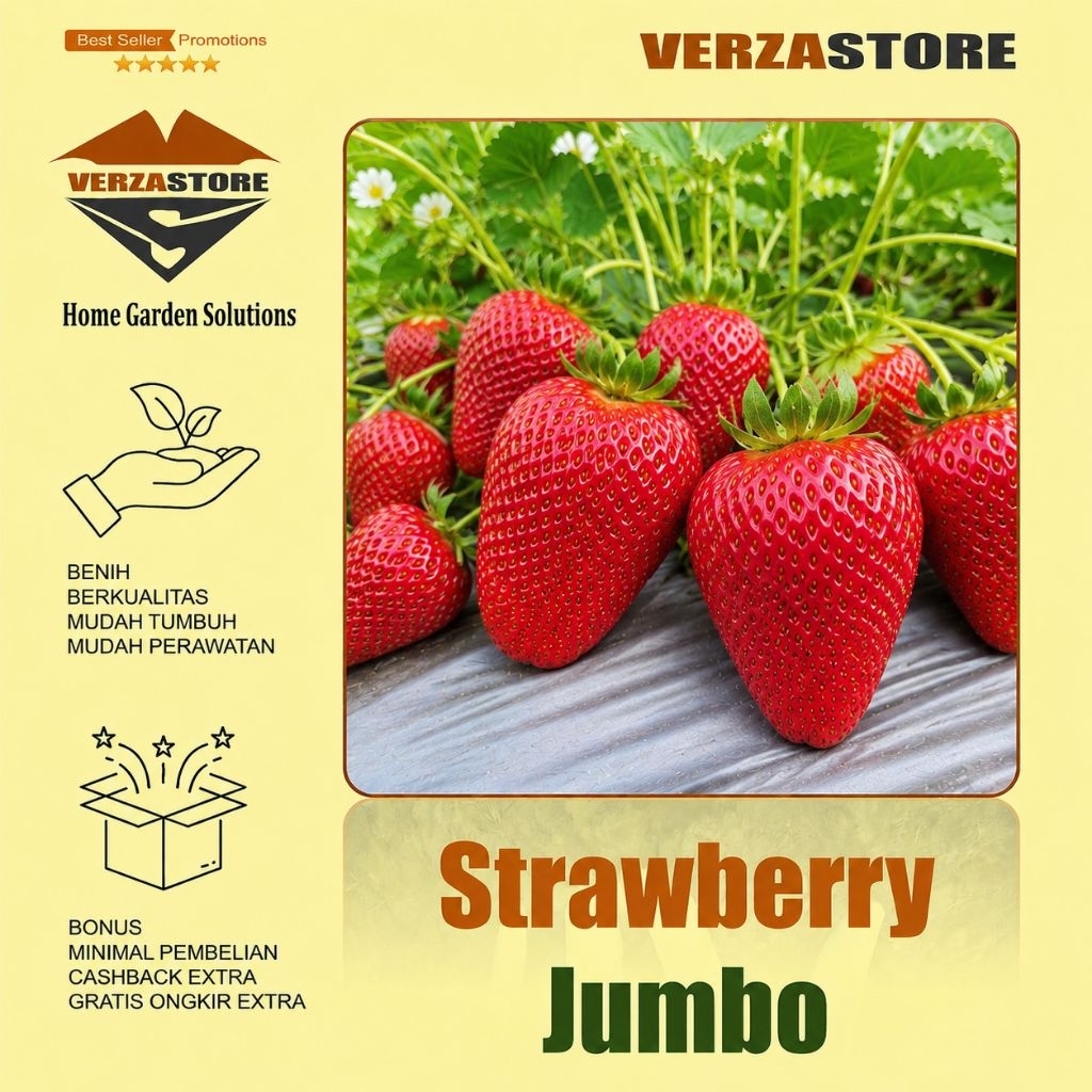30 Biji - Benih Buah Strawberry Jumbo