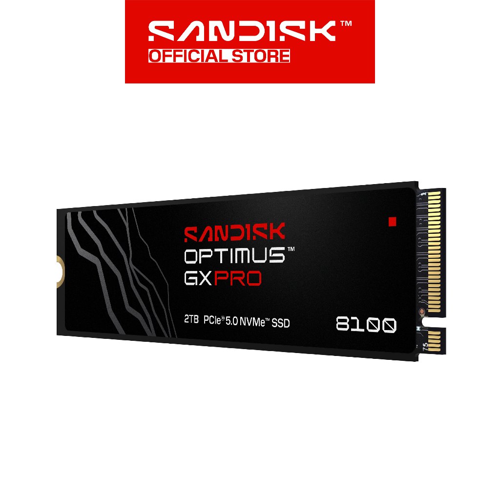 SANDISK Optimus GX PRO 8100 NVMe SSD 1TB / 2TB / 4TB (2)
