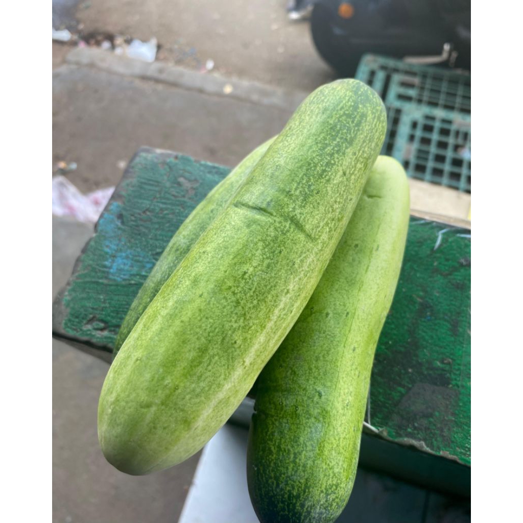 Jual Timun 1 Kg Terlengkap & Harga Terbaru Juli 2026 | Shopee Indonesia
