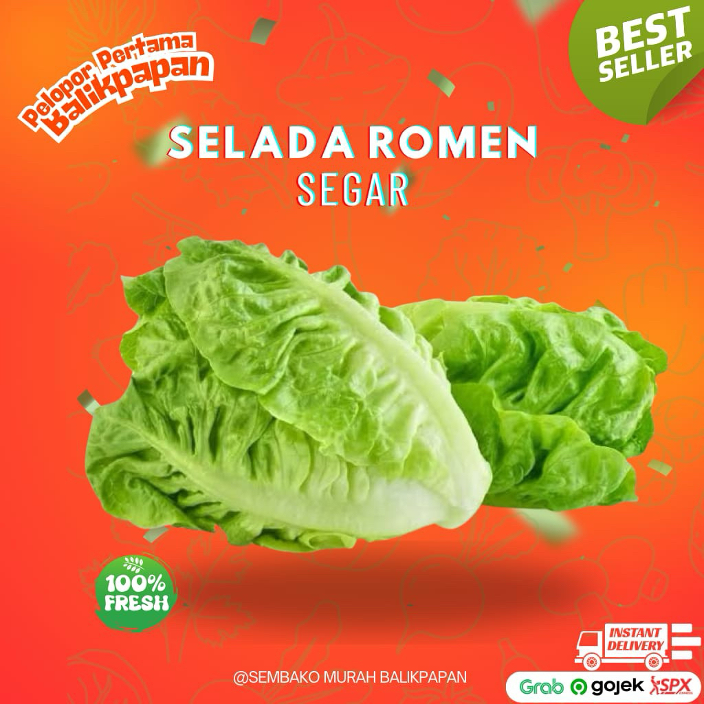 Jual Selada romen / romaine lettuce | Shopee Indonesia