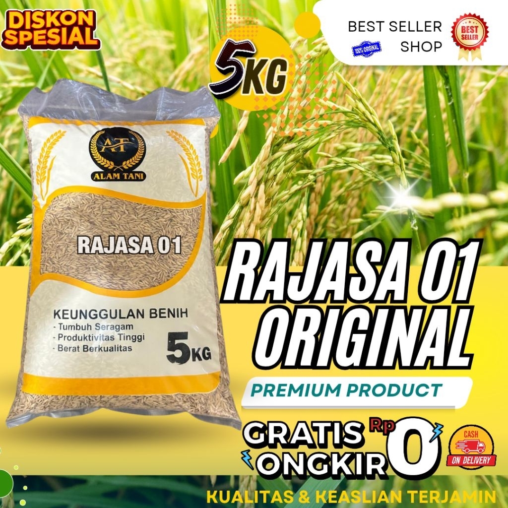 Jual Benih padi unggul rajasa 01 original kemasan 5kg | Shopee Indonesia