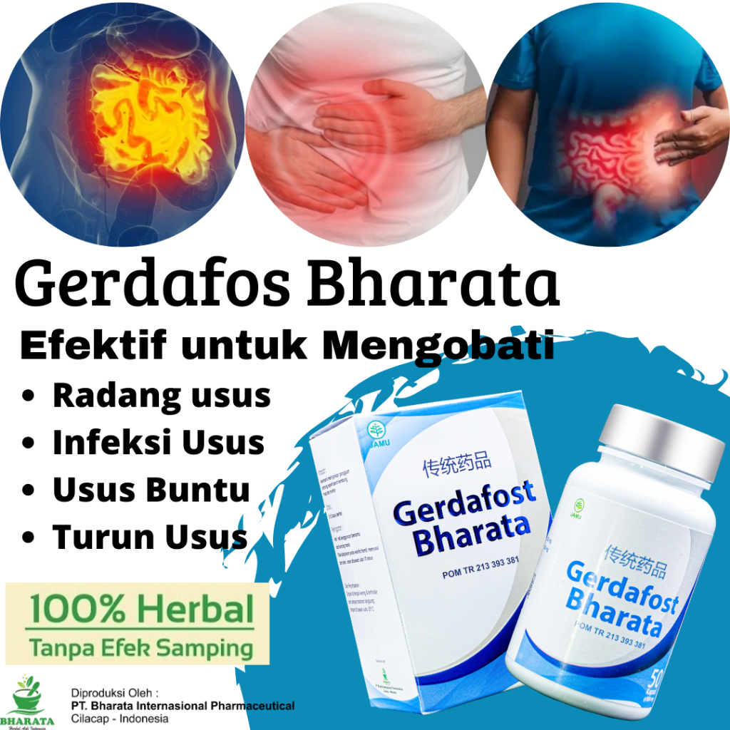 Obat Usus Buntu Paling Ampuh Obat Radang Usus Ampuh GERDAFOST BHARATA