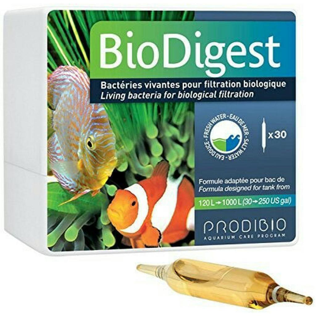 Jual PRODIBIO BIODIGEST 1 VIAL AMPUL LIVING BACTERIA BAKTERI STARTER ...