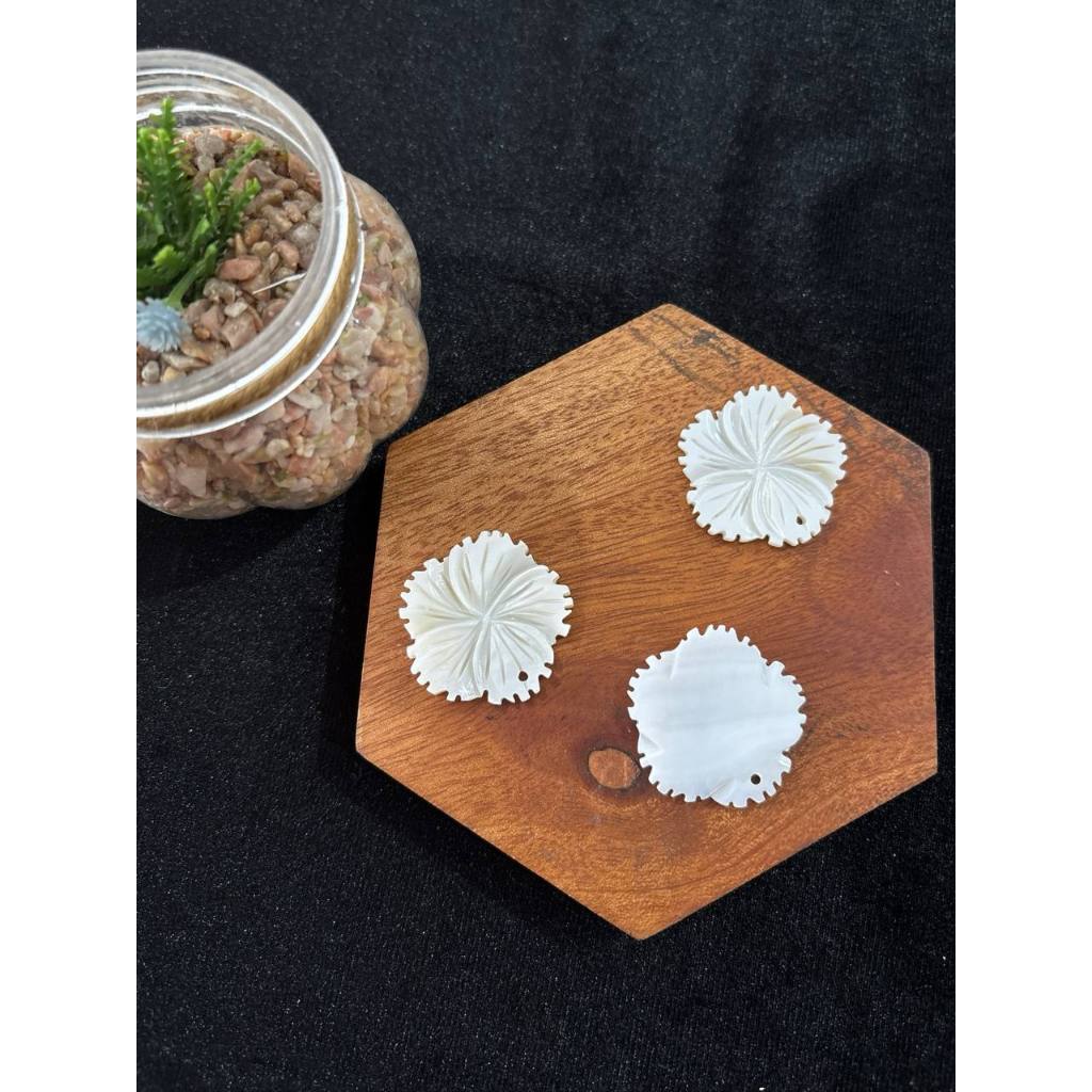 Jual KERANG MOTIF BUNGA 40MM, 22-25MM, 28MM / NATURAL SHELL FLOWER ...