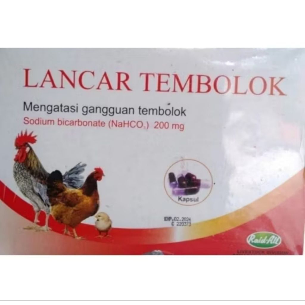 Jual Tembolok Terlengkap & Harga Terbaru Juli 2026 | Shopee Indonesia