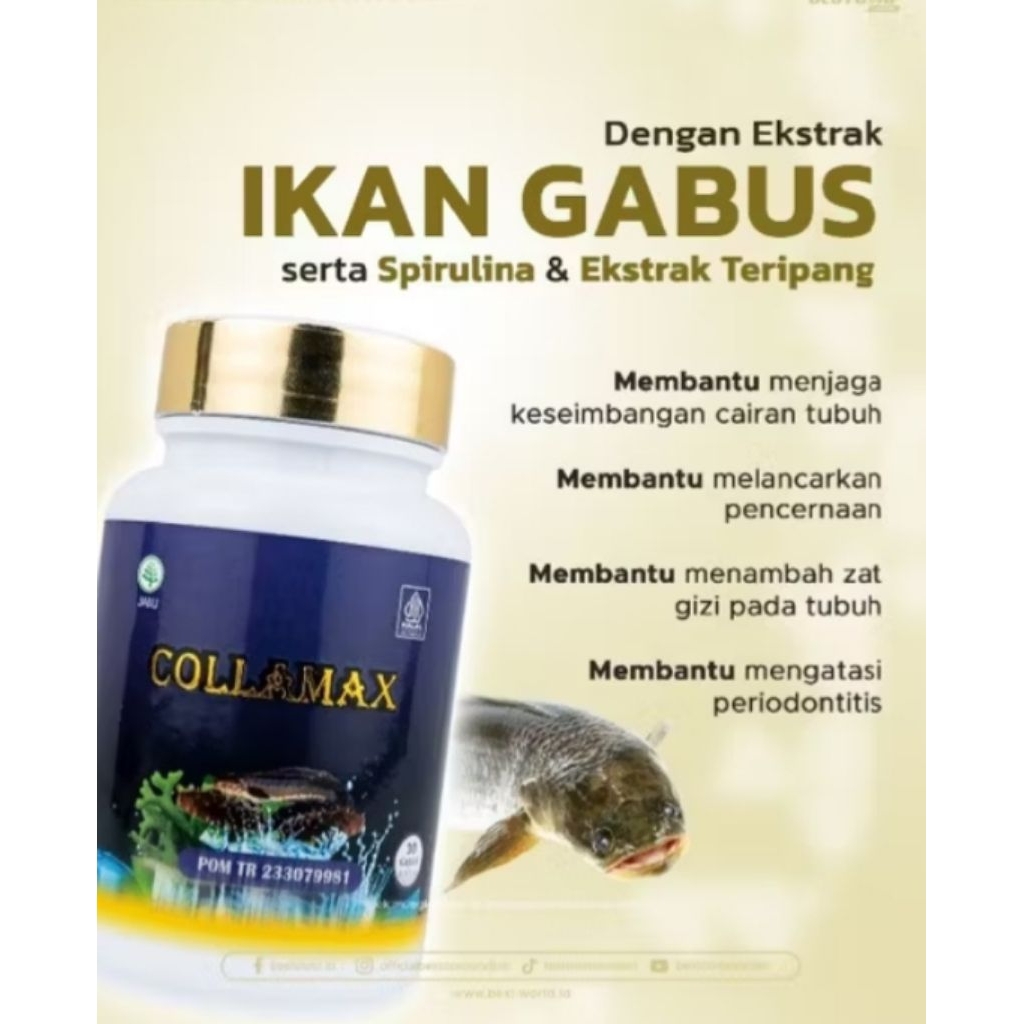 Jual Capsul Luka COLLAMAX Original | Shopee Indonesia