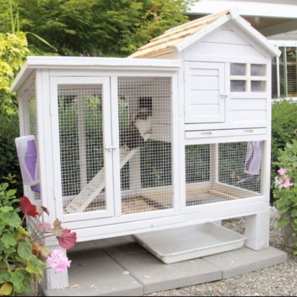 Jual Kandang Kelinci Rumah outdoor Kelinci Rabbit House Kandang Hewan ...