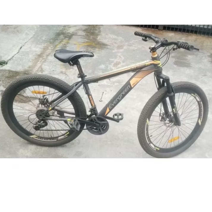 Jual Sepeda gunung/MTB second | Shopee Indonesia