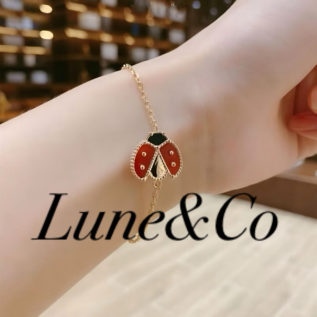 Jual SS8 Set Kalung Dan Gelang Ladybug Kepik Titanium Steel Anti Karat ...