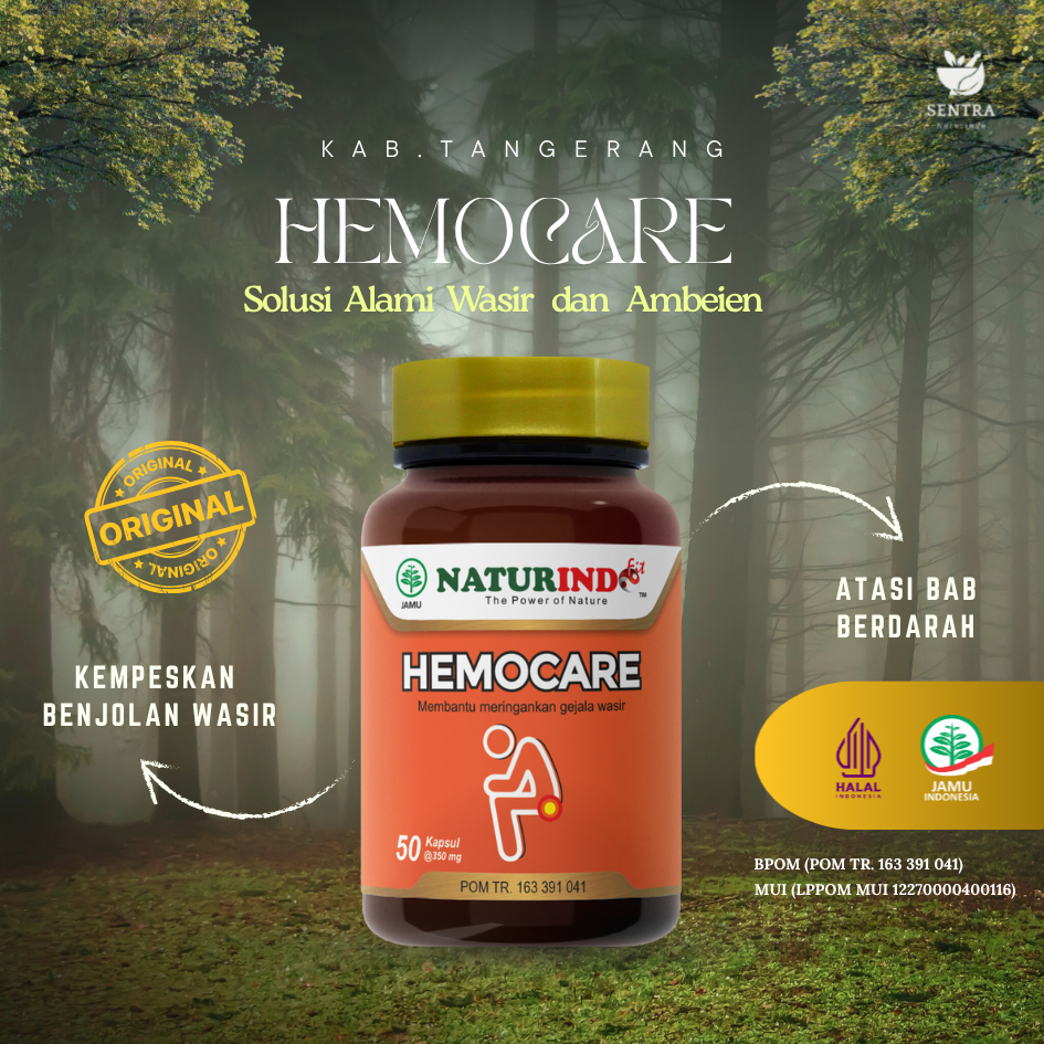 Obat Ambeien Wasir Stadium 1-4 Tanpa Operasi Ambeyen Wasir Hemoroid Hemocare Naturindo