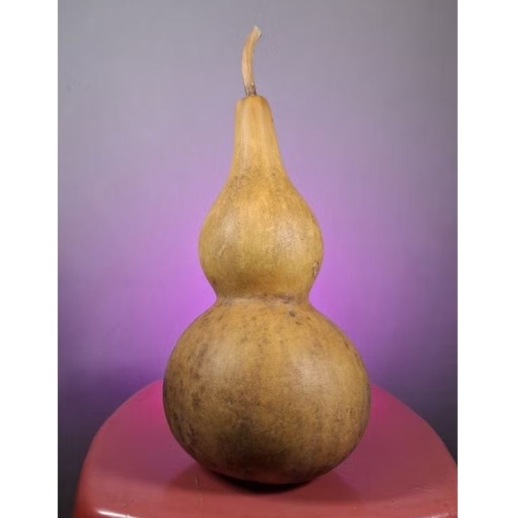 Jual labu botol kering | Shopee Indonesia