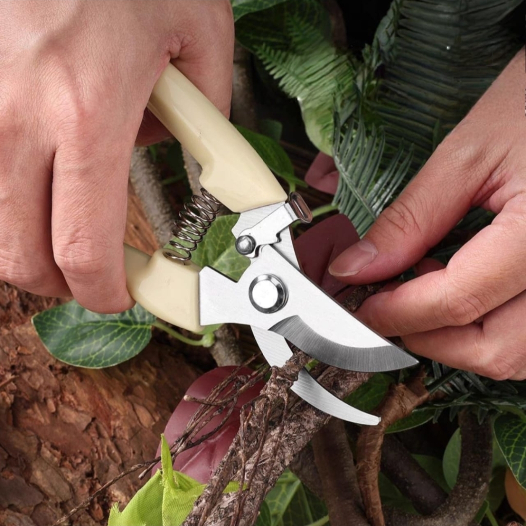 Jual TOS Gunting Dahan Bengkok/ Peralatan Berkebun Gunting Potong ...