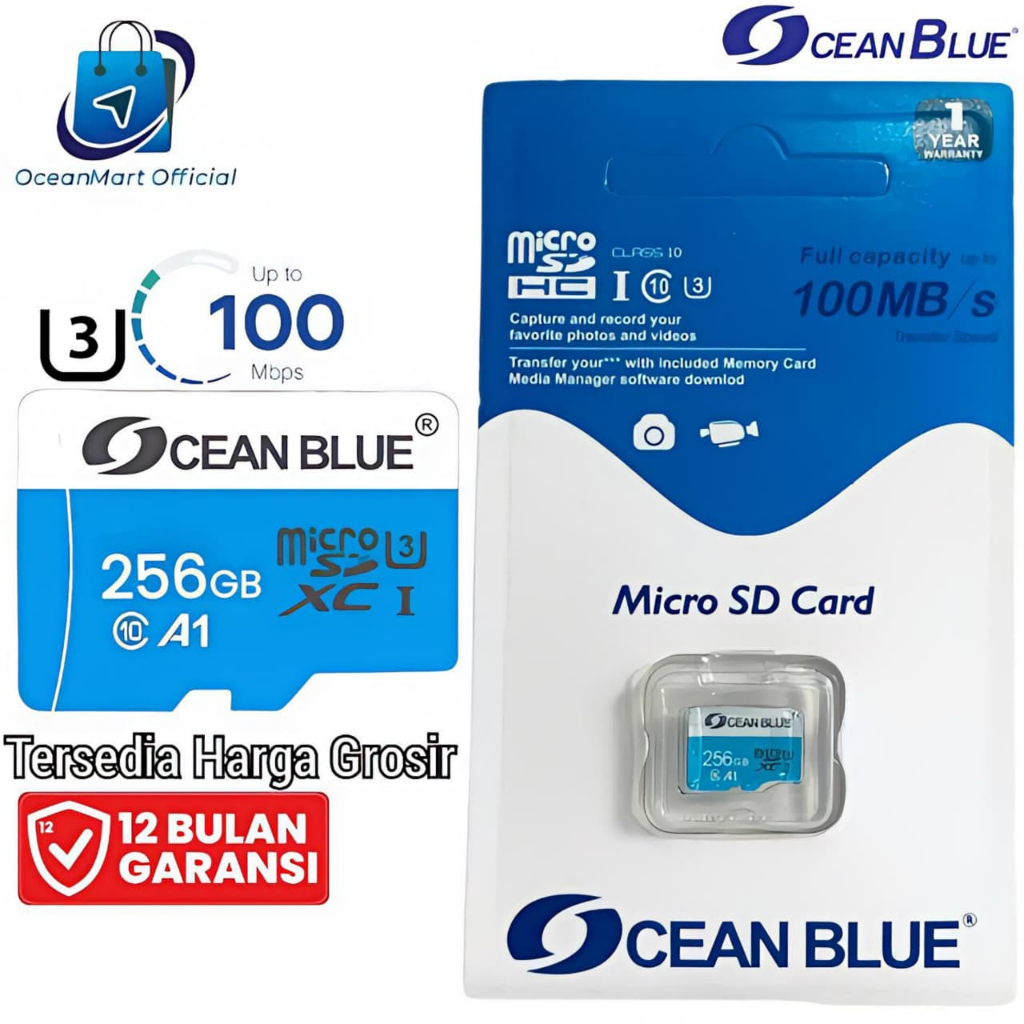 Jual Memory Card Hp Micro SD Class 10 U3 256 GB MMC Memori Kamera Cctv ...