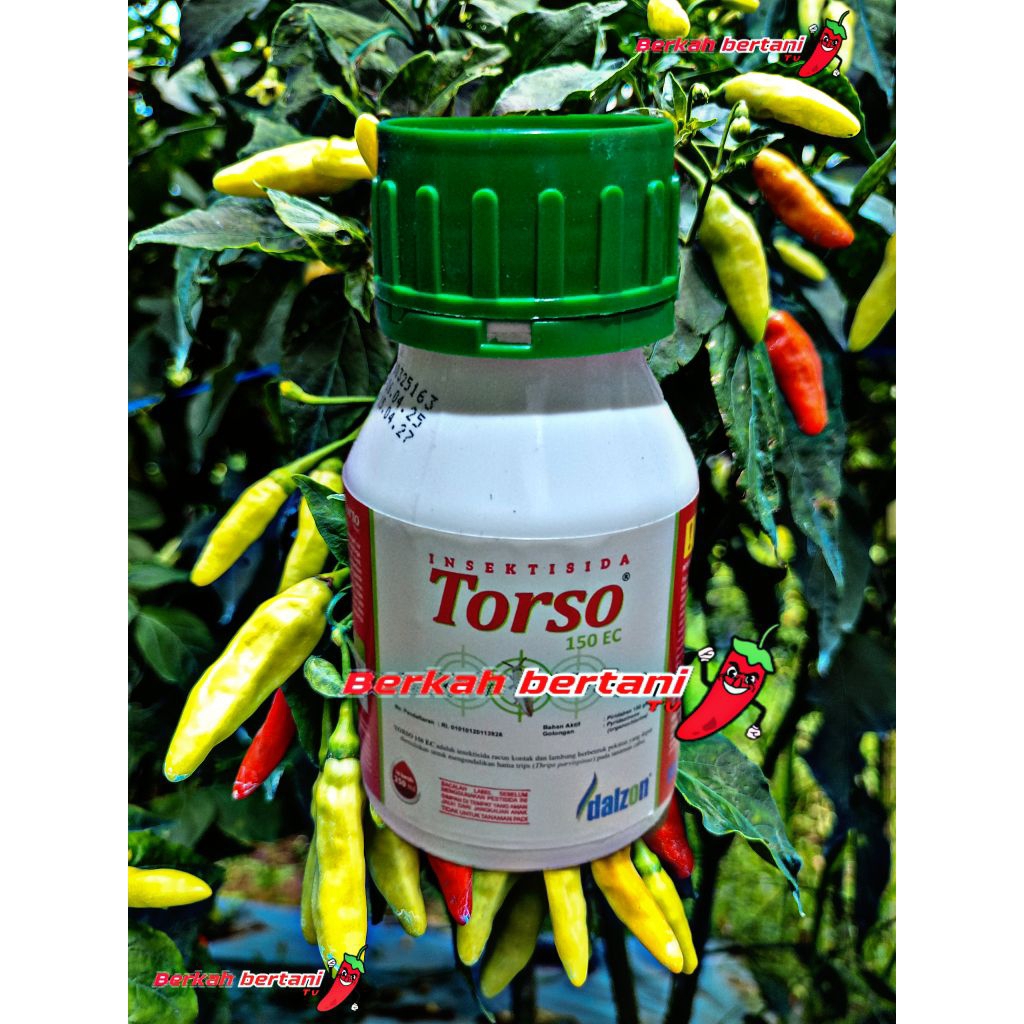 Jual AKARISIDA DAN INSEKTISIDA TORSO 15EC 250ML | Shopee Indonesia