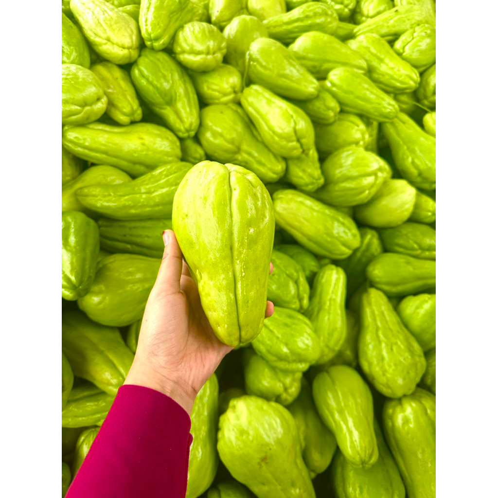 Jual labu siam fresh 1kg | Shopee Indonesia