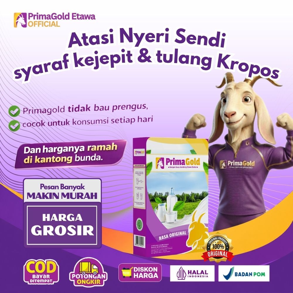 Jual PrimaGold 1 BOX Susu etawa Atasi Nyeri Sendi, syaraf kejepit dan ...