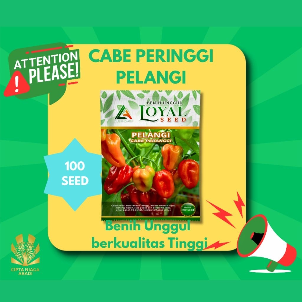 Jual Benih Cabe Peringgi PELANGI F1, 100 Seed | Shopee Indonesia