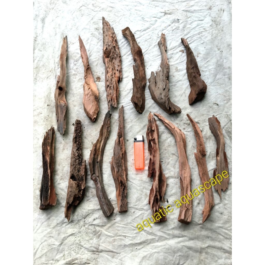 Jual kayu rentek mini meruncing untuk dekorasi aquarium 1kg | Shopee ...