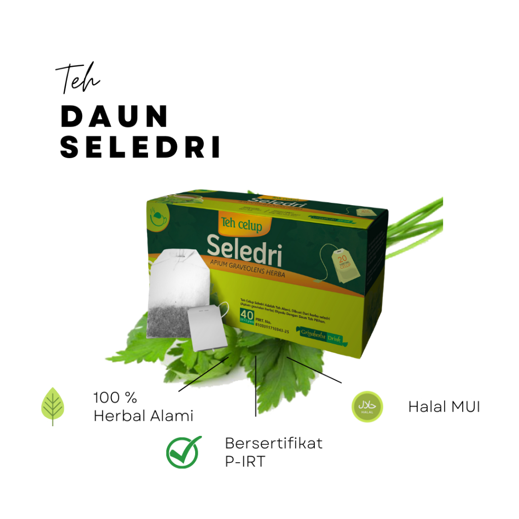Teh Herbal Seledri Membantu Menurunkan Tekanan Darah Tinggi Obat Rematik Encok Asma Isi 20 Kantong