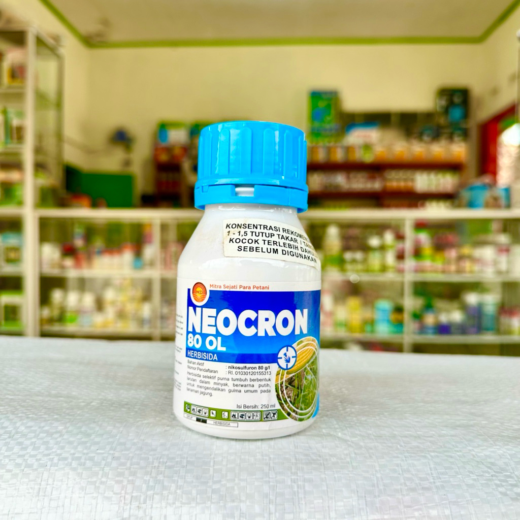 Jual HERBISIDA NEOCRON 80 OL 250ml - Herbisida Selektif Jagung Neocron ...