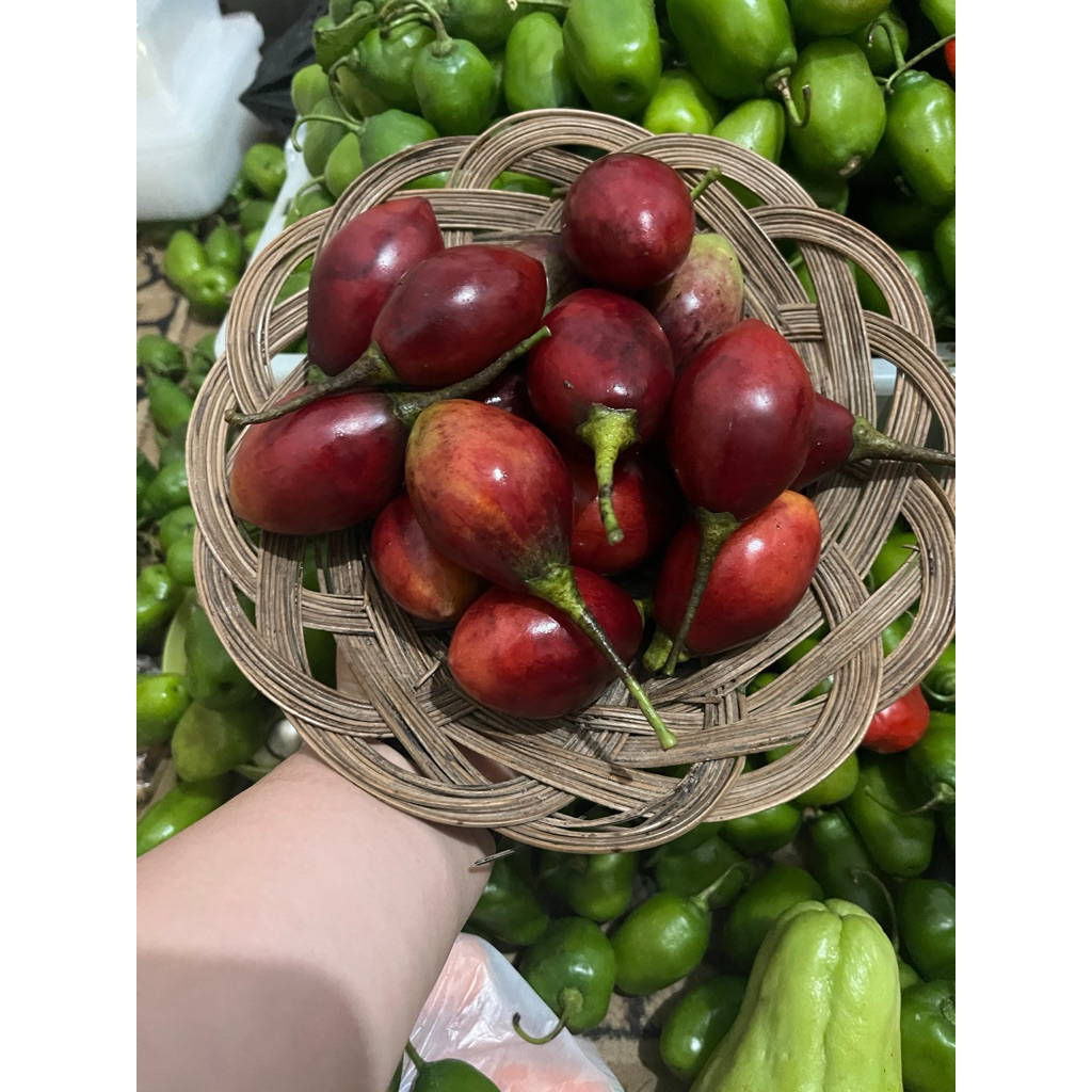 Jual Terong Kori / Terong Belanda 500gr | Shopee Indonesia